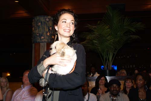 Fashion in Public (Gallery 1)