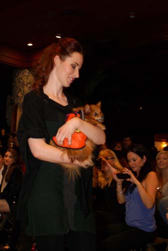 Fashion in Public (Gallery 1)