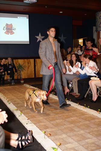 Fashion in Public (Gallery 1)