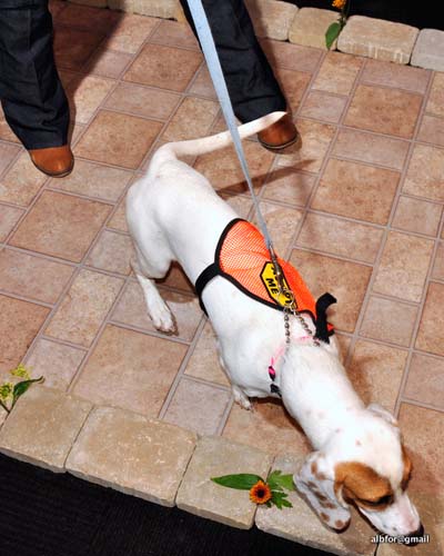 Fashion in Public (Gallery 2)