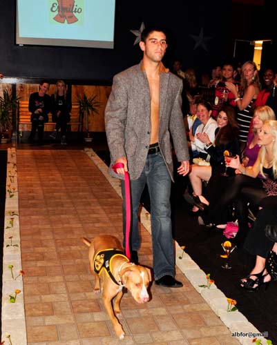 Fashion in Public (Gallery 2)