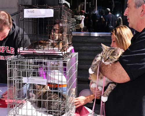 Fall Festival 2010 (Gallery 1)