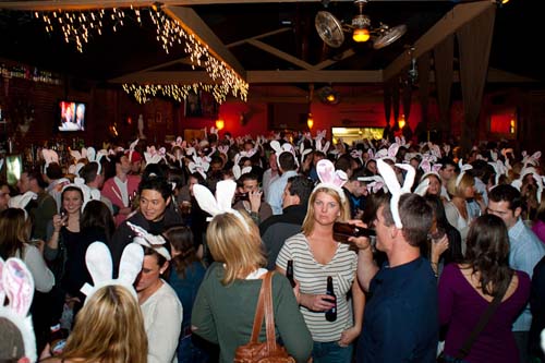 13th Annual Bunny Hop! (Gallery 1)