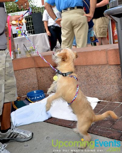 Beerfest @ The Ballpark (Gallery 1)