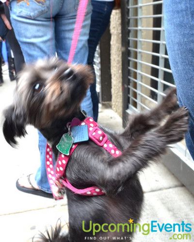 Midtown Festival (Gallery 2)