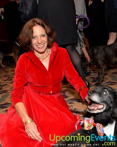 Good Dog Gala