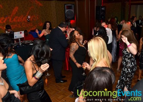 Hair O' the Dog (Gallery B)