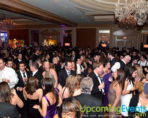 Hair O' the Dog (Gallery B)