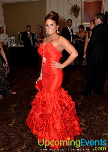 Hair O' the Dog (Gallery B)