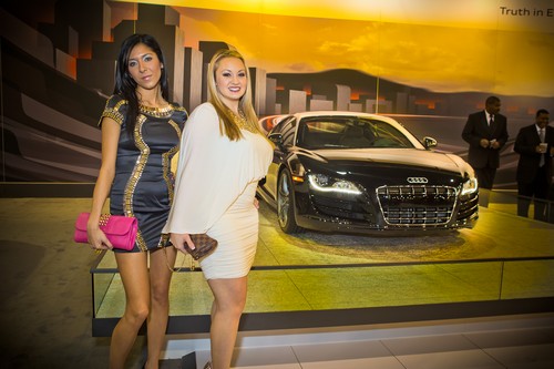 Philadelphia Auto Show Black Tie Tailgate (Gallery B)