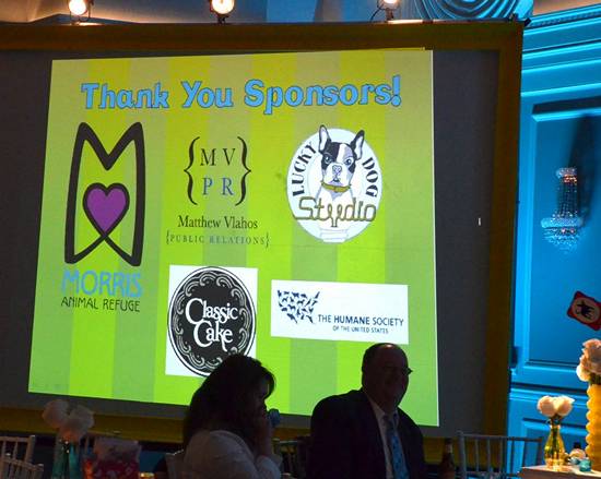 The 15th Annual Fur Ball