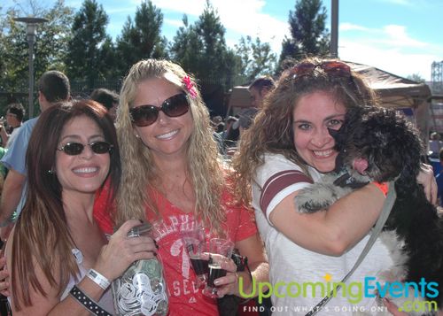 6th Annual Beer Fest at the Ballpark