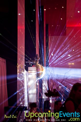 Hair O' The Dog (Gallery B)