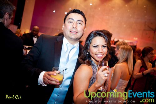 Hair O' The Dog (Gallery B)