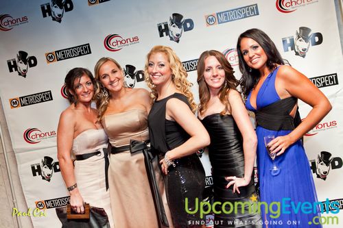 Hair O' The Dog (Gallery B)