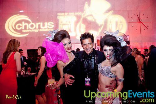 Hair O' The Dog (Gallery A)