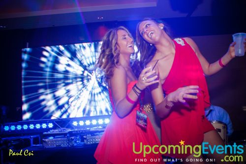 Hair O' The Dog (Gallery A)