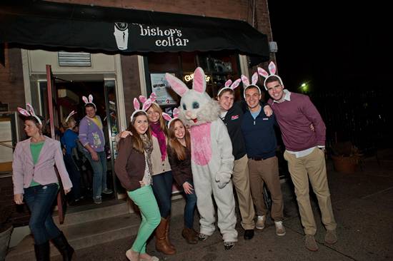 15th Annual Bunny Hop! (Gallery A)