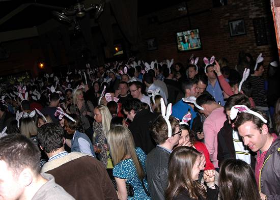 15th Annual Bunny Hop! (Gallery C)