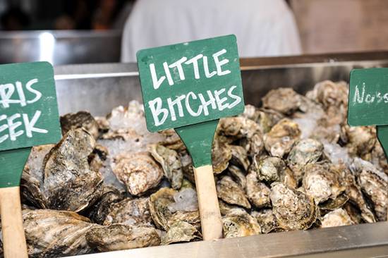 Doc Magrogan's Deck Launch