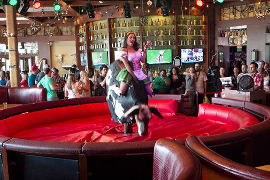 Xtoberfest 2013 (Gallery D)