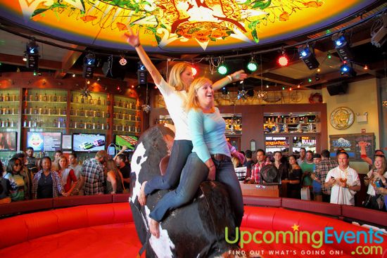 Xtoberfest 2013 (Gallery F)