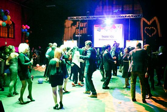 17th Annual Philly Fur Ball