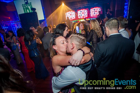 Hair O' The Dog 2016 (Gallery 2)