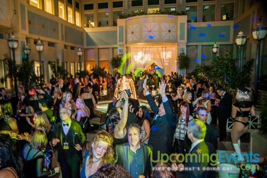 Hair O' The Dog 2016 (Gallery 2)