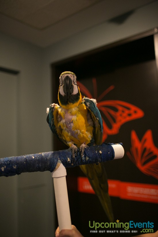 Philadelphia Restaurant Festival 2016