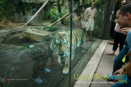 Summer Ale Festival at The Zoo!