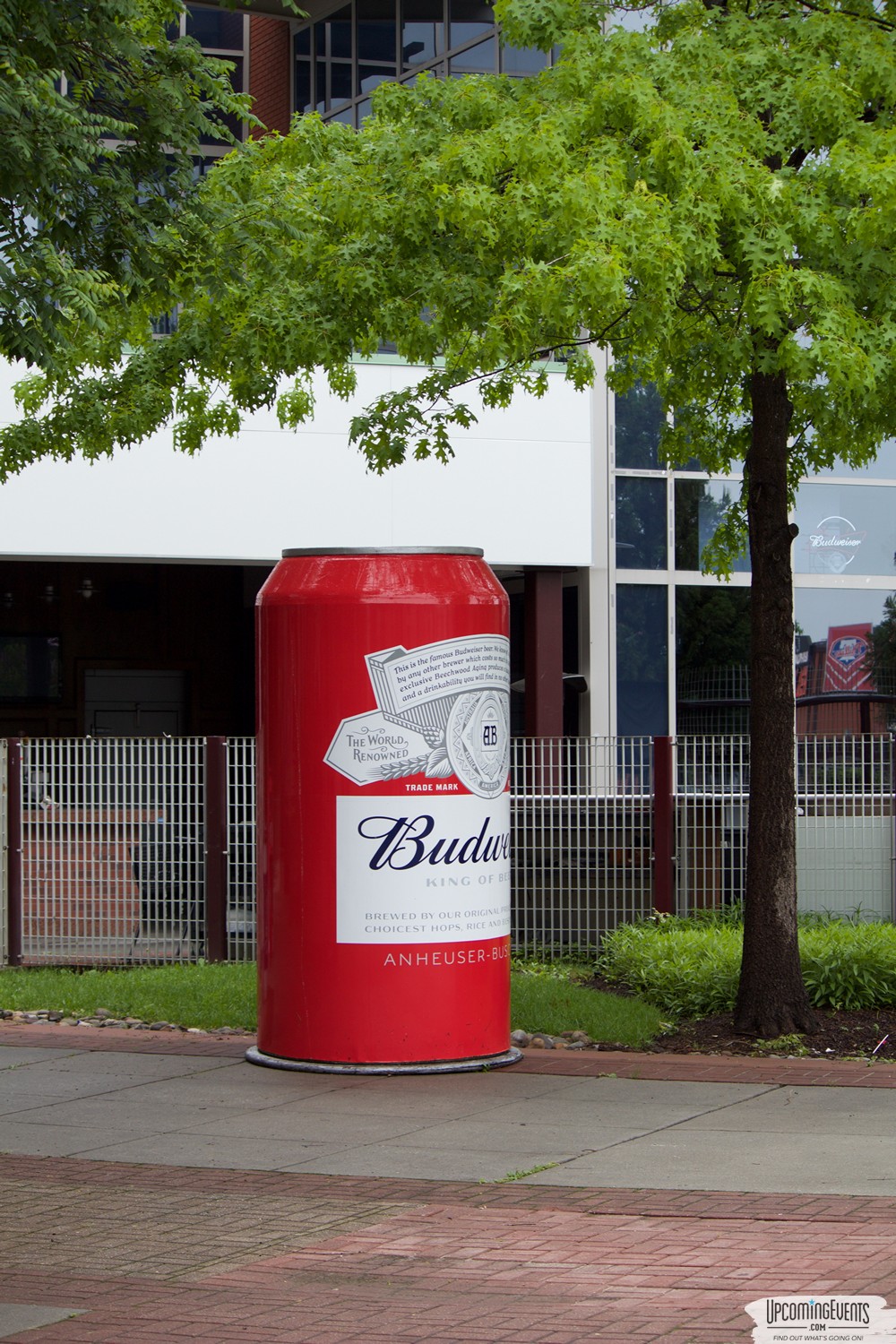 Philly All Star Festival 2018 - Gallery 2