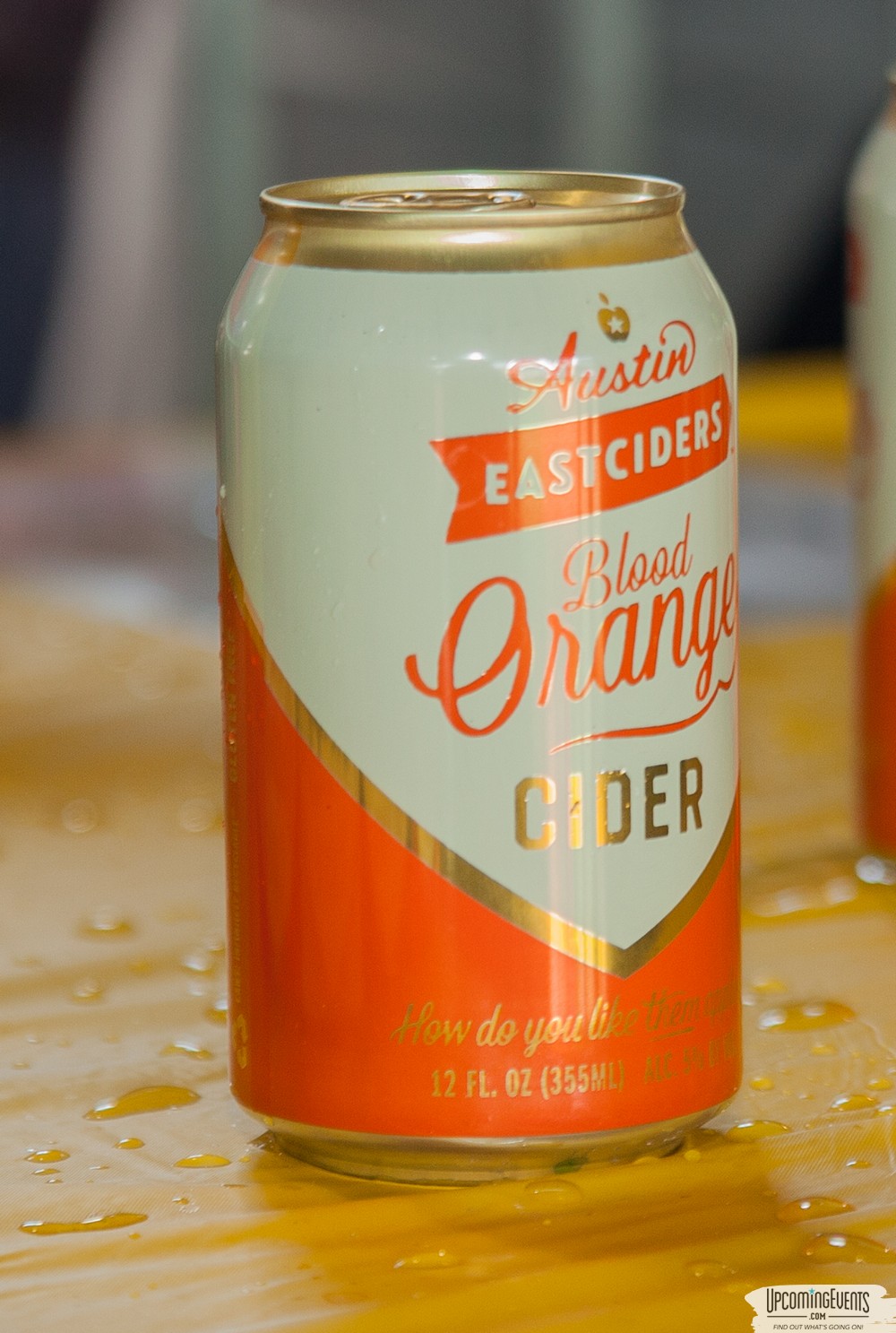 Pittsburgh All Star Festival 2018 - Gallery 2