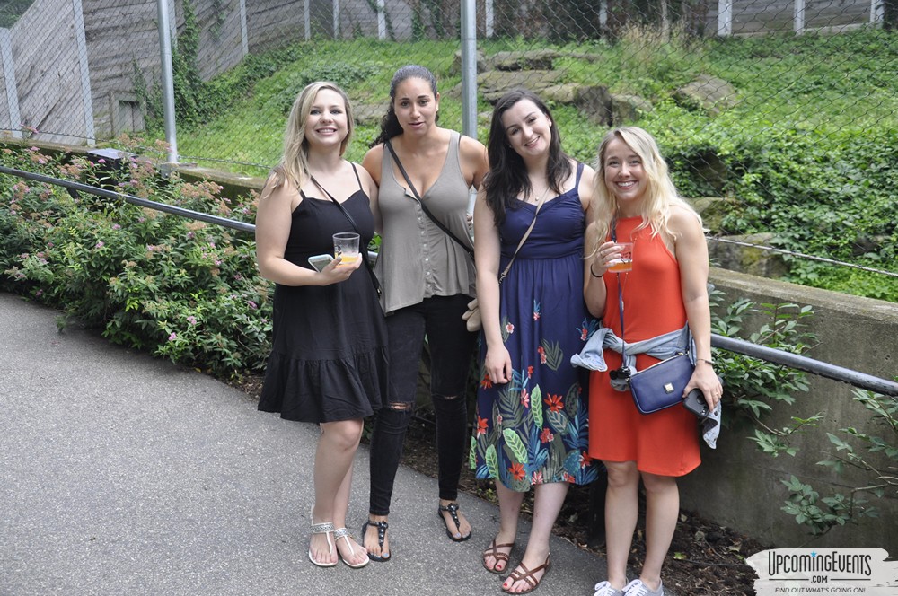 Summer Ale Festival at The Phladelphia Zoo