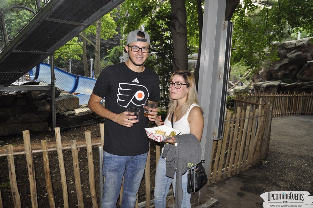 Summer Ale Festival at The Phladelphia Zoo