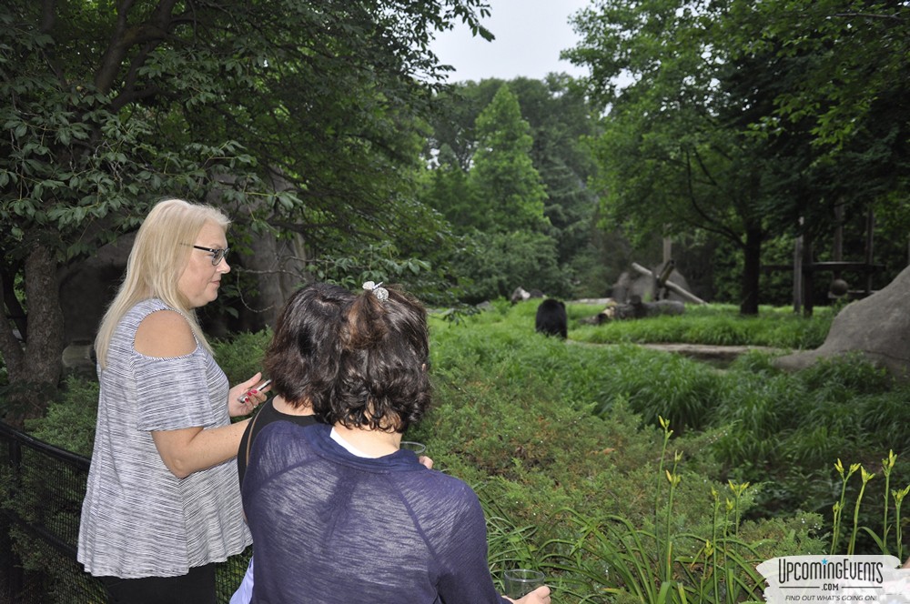 Summer Ale Festival at The Phladelphia Zoo