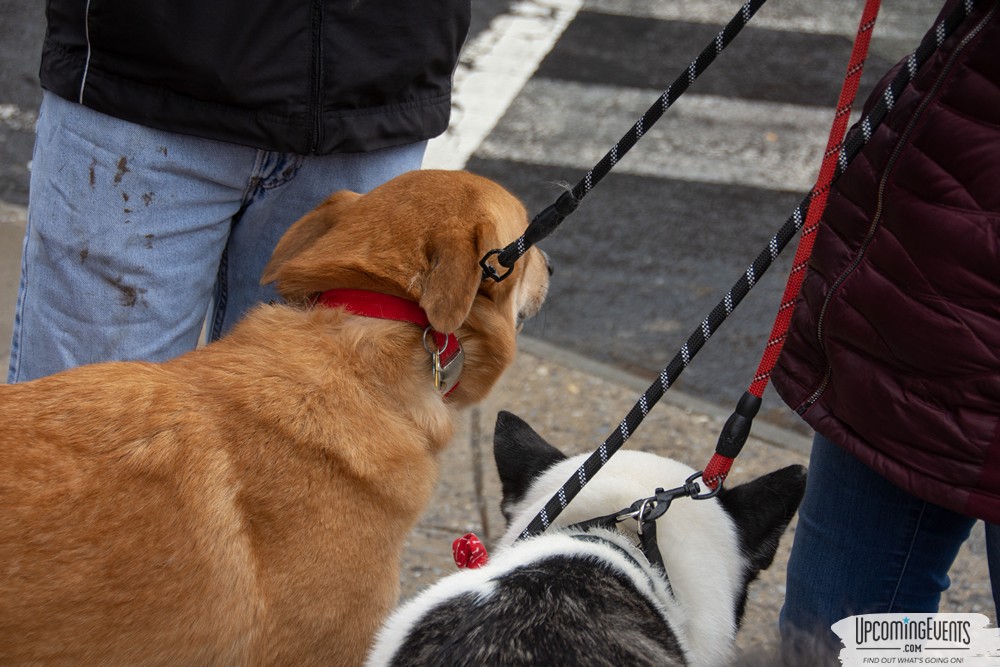 Manayunk Chowder Crawl