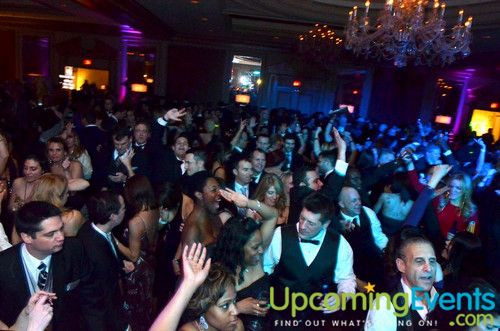 Hair O' the Dog (Gallery B)