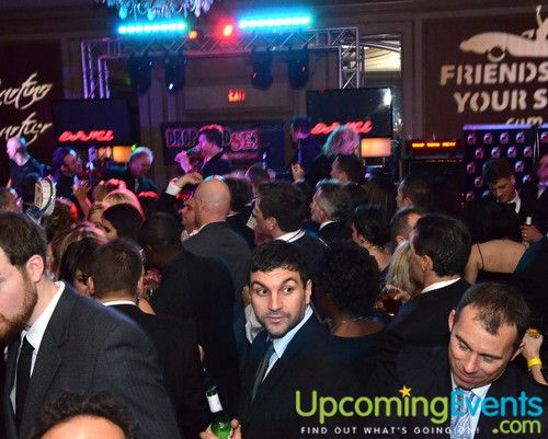 Hair O' the Dog (Gallery B)