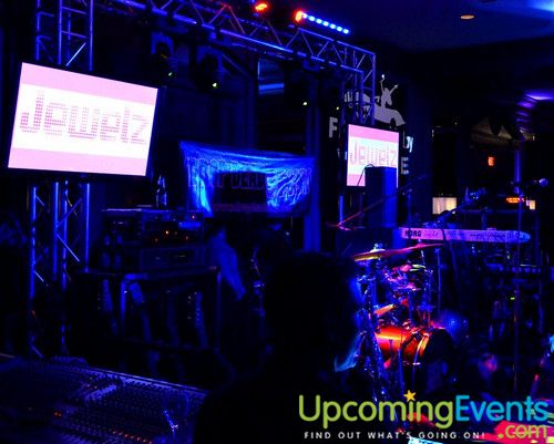 Hair O' the Dog (Gallery B)