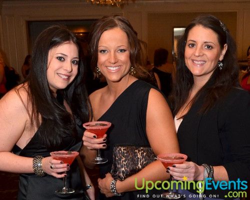 Hair O' the Dog (Gallery A)