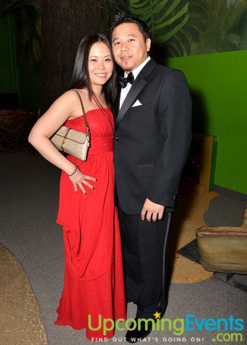 Red Ball 2012 Gallery 1
