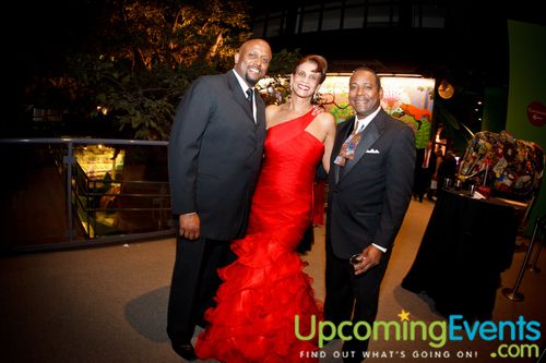 REd Ball 2012 Gallery 2