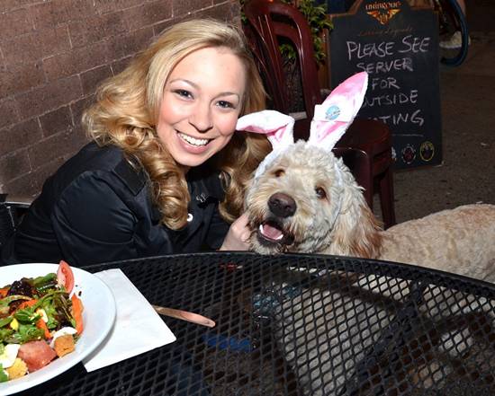 The 2012 Bunny Hop! (Gallery B)