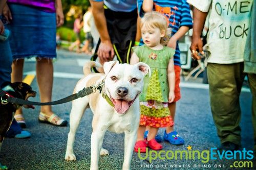 Night Market Mt Airy