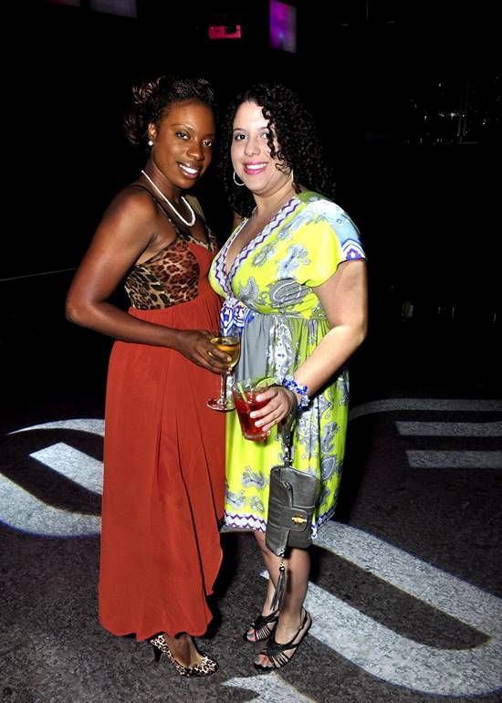 The Young Professional's Ball (Gallery 1)