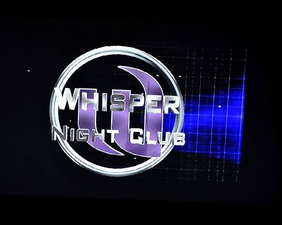 The Young Professional's Ball (Gallery 1)