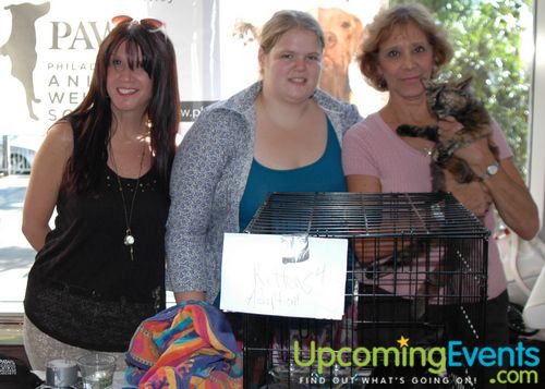 6th Annual Beer Fest at the Ballpark