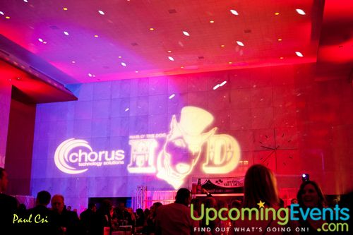 Hair O' The Dog (Gallery B)