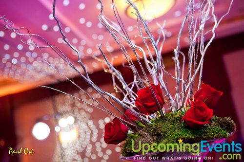 Hair O' The Dog (Gallery B)